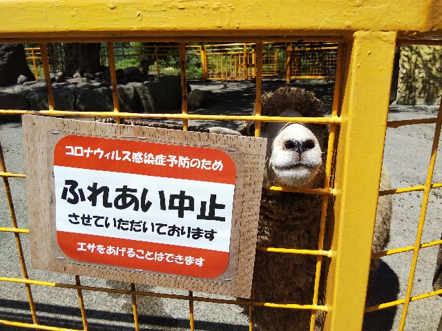 f:id:ranchou:20201017230433j:image f:id:ranchou:20201017230433j:image