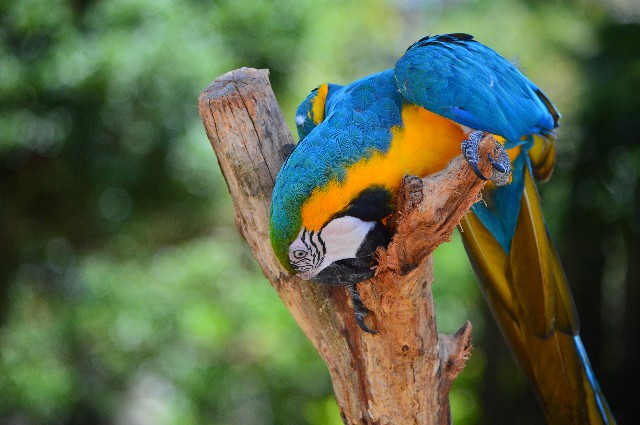 f:id:ranchou:20201017230539j:image f:id:ranchou:20201017230539j:image