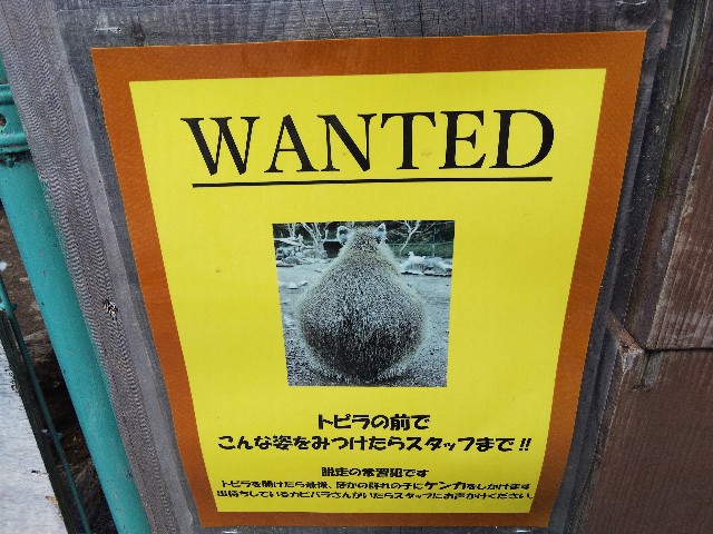 f:id:ranchou:20201017230813j:image f:id:ranchou:20201017230813j:image