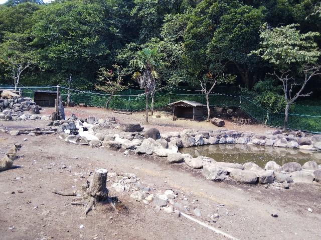 f:id:ranchou:20201017230852j:image f:id:ranchou:20201017230852j:image