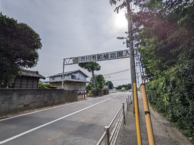 f:id:ranchou:20220619201640j:image