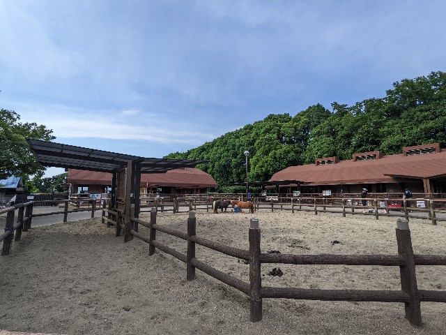 f:id:ranchou:20220619202504j:image