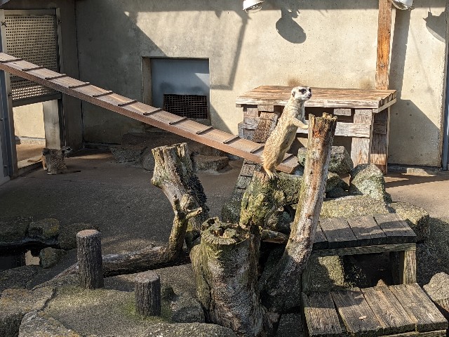 f:id:ranchou:20220619202543j:image