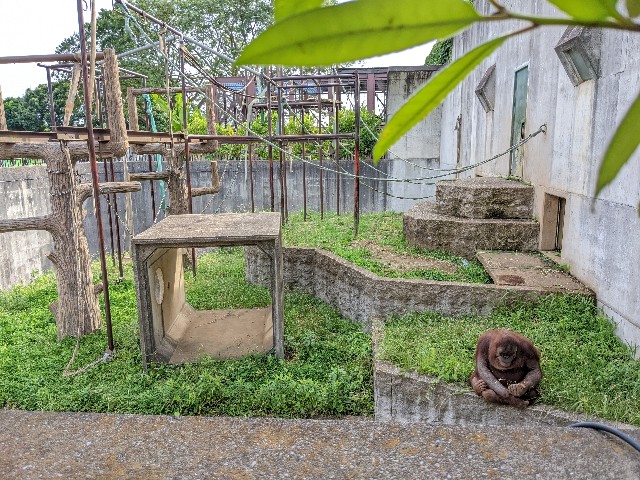 f:id:ranchou:20220619202623j:image