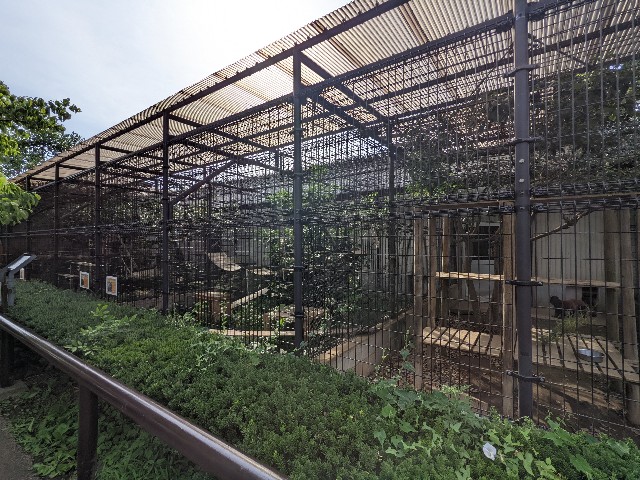 f:id:ranchou:20220619202656j:image