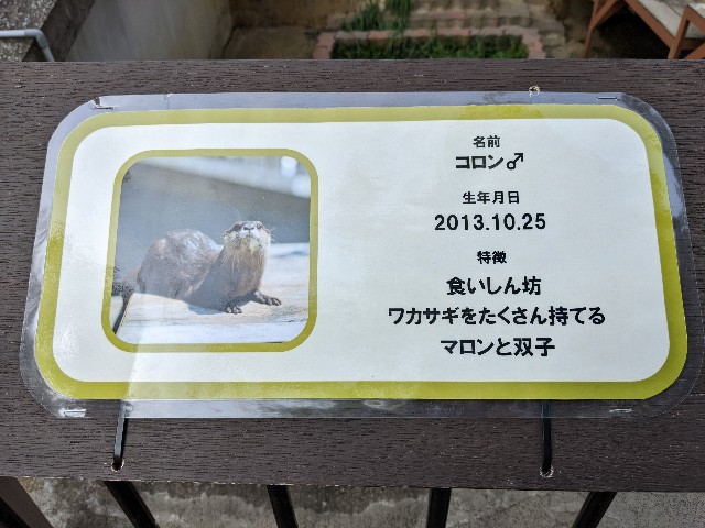 f:id:ranchou:20220619202858j:image