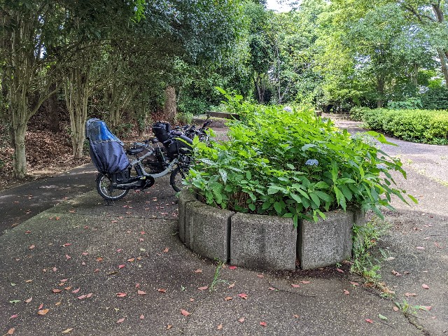 f:id:ranchou:20220619211524j:image