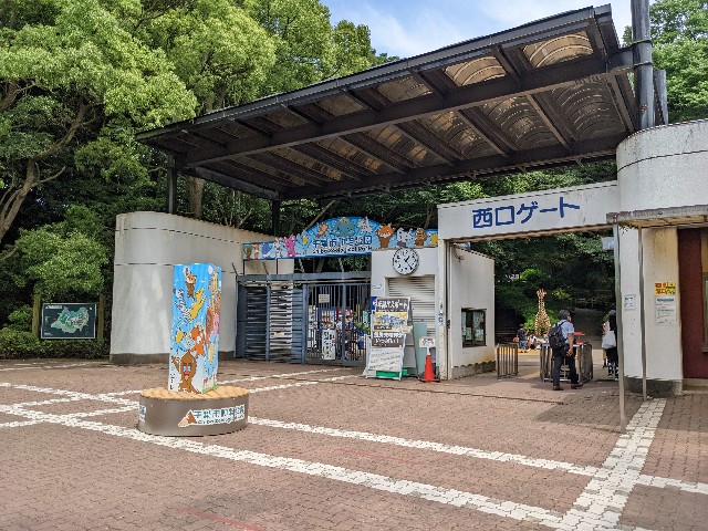 f:id:ranchou:20220619211921j:image