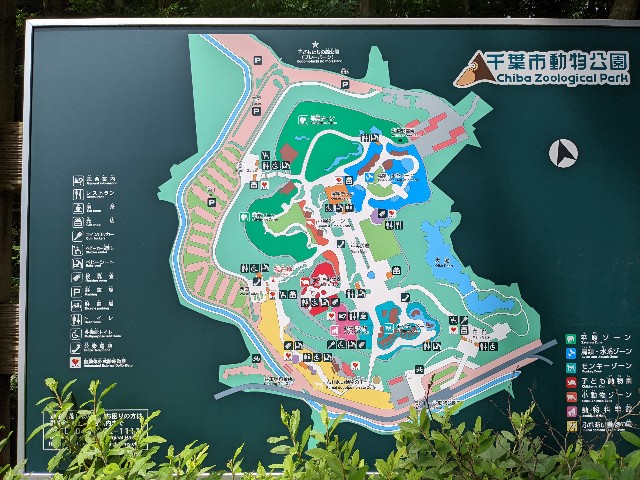 f:id:ranchou:20220619211930j:image