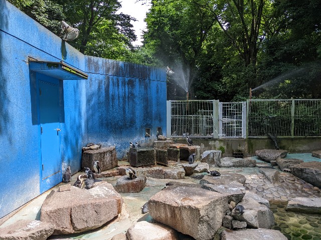 f:id:ranchou:20220619212643j:image