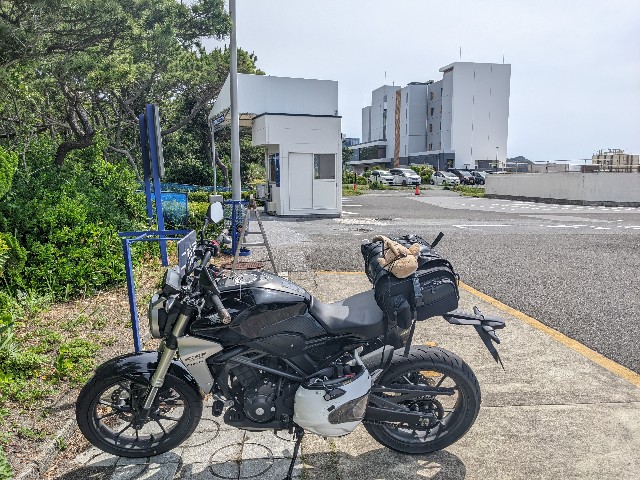 f:id:ranchou:20220619220928j:image