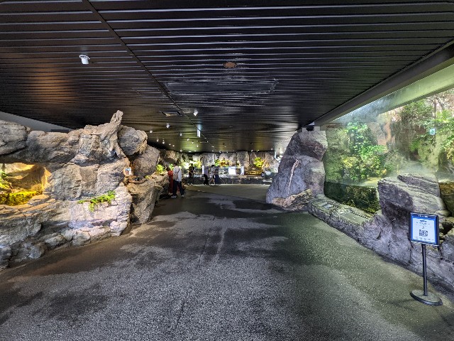 f:id:ranchou:20220619223634j:image