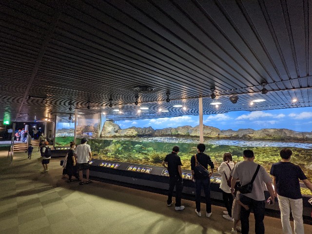 f:id:ranchou:20220619224416j:image