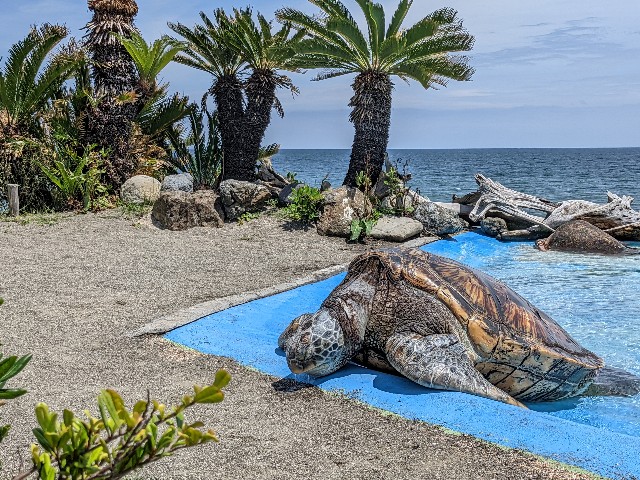 f:id:ranchou:20220619224621j:image