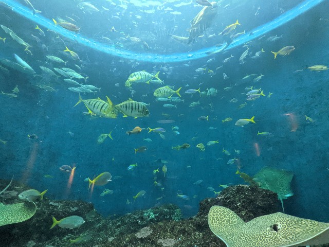 f:id:ranchou:20220619224643j:image