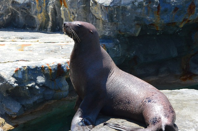 f:id:ranchou:20220619225221j:image