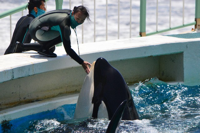 f:id:ranchou:20220619225337j:image