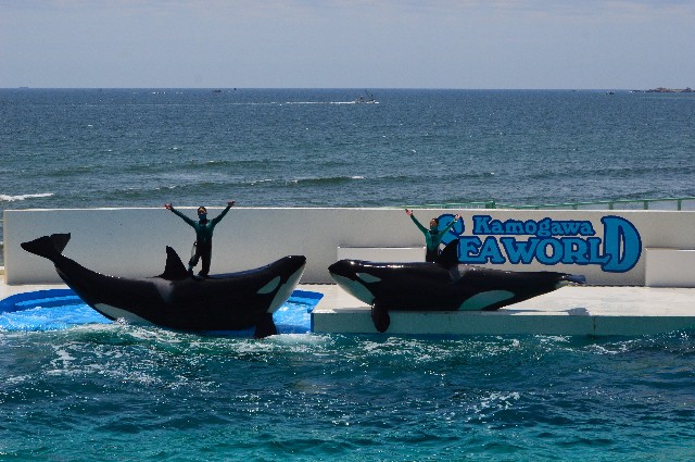 f:id:ranchou:20220619225356j:image