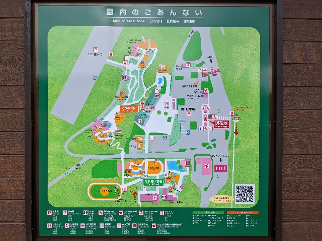 f:id:ranchou:20220627054905j:image