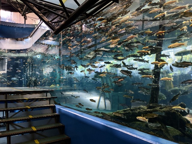 f:id:ranchou:20220627221012j:image f:id:ranchou:20220627221012j:image