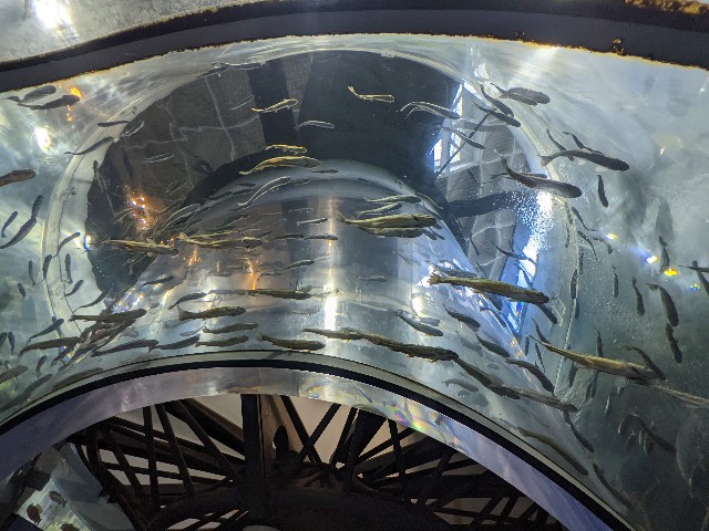 f:id:ranchou:20220627221044j:image f:id:ranchou:20220627221044j:image