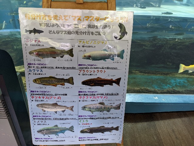 f:id:ranchou:20220627221318j:image f:id:ranchou:20220627221318j:image