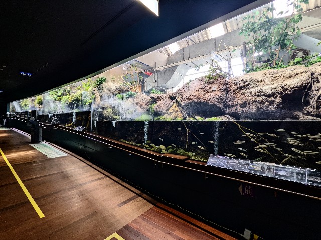 f:id:ranchou:20220627221933j:image f:id:ranchou:20220627221933j:image