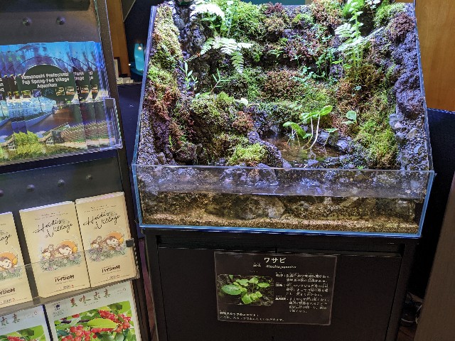 f:id:ranchou:20220627222048j:image f:id:ranchou:20220627222048j:image