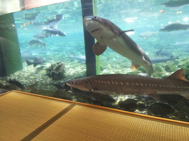 f:id:ranchou:20220627222418j:image f:id:ranchou:20220627222418j:image