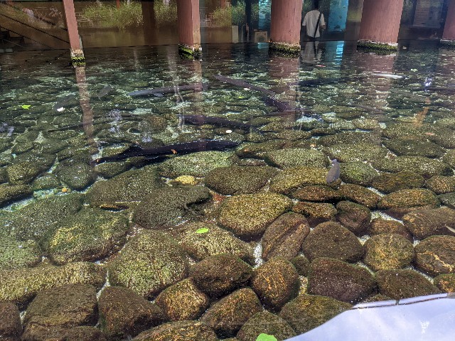 f:id:ranchou:20220627222435j:image f:id:ranchou:20220627222435j:image