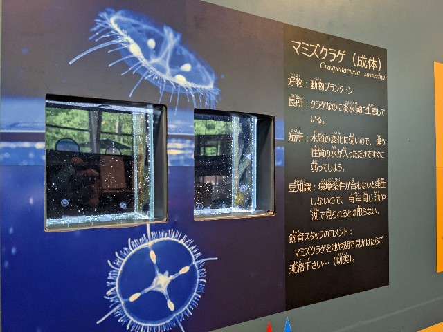 f:id:ranchou:20220627222533j:image f:id:ranchou:20220627222533j:image