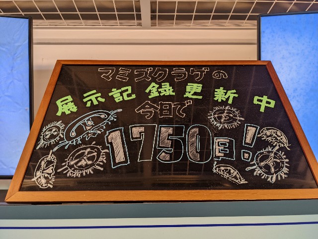 f:id:ranchou:20220627222541j:image f:id:ranchou:20220627222541j:image