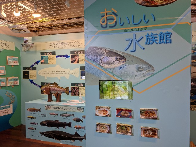 f:id:ranchou:20220627222613j:image f:id:ranchou:20220627222613j:image