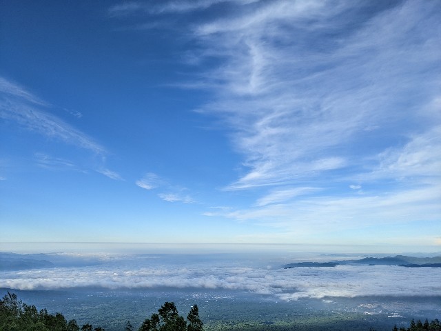 f:id:ranchou:20220627224333j:image f:id:ranchou:20220627224333j:image