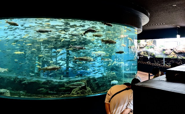 f:id:ranchou:20220628073359j:image f:id:ranchou:20220628073359j:image