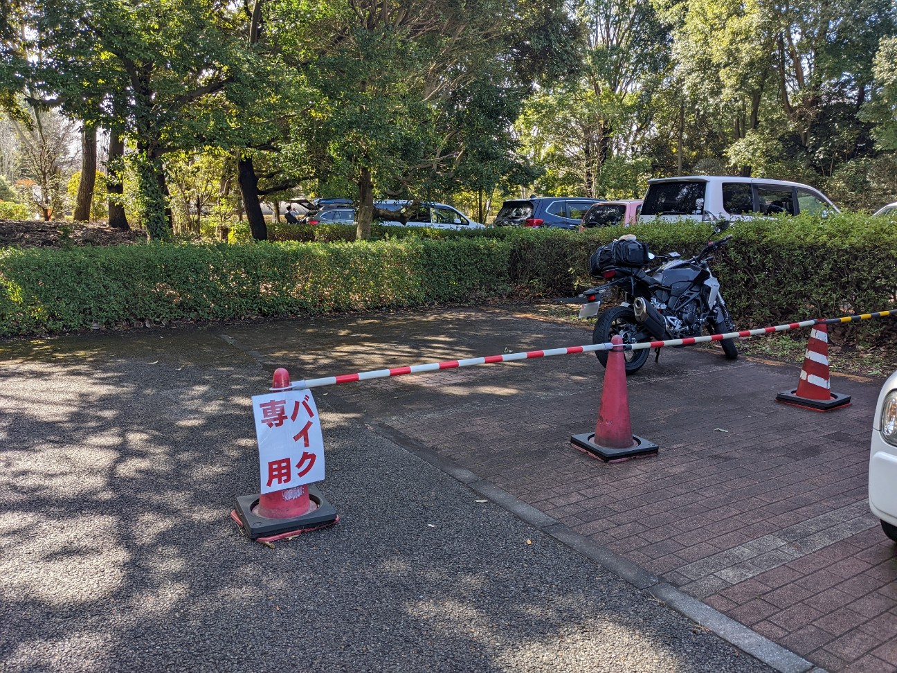 f:id:ranchou:20220629194541j:image