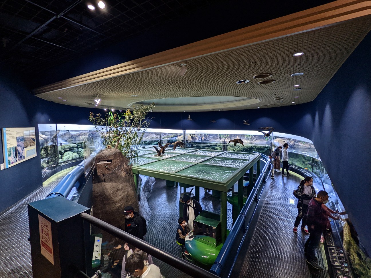 f:id:ranchou:20220629195040j:image