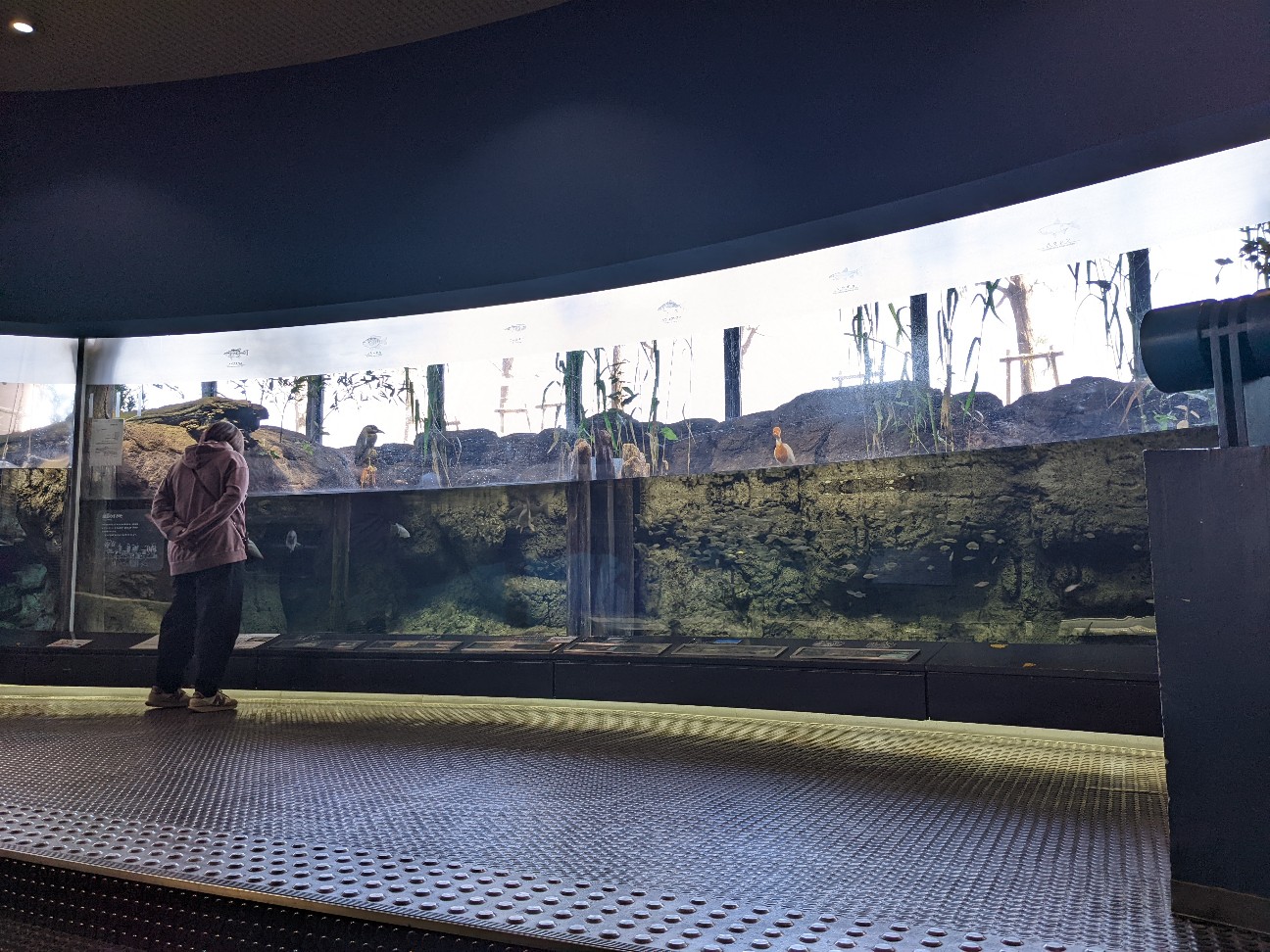 f:id:ranchou:20220629195058j:image