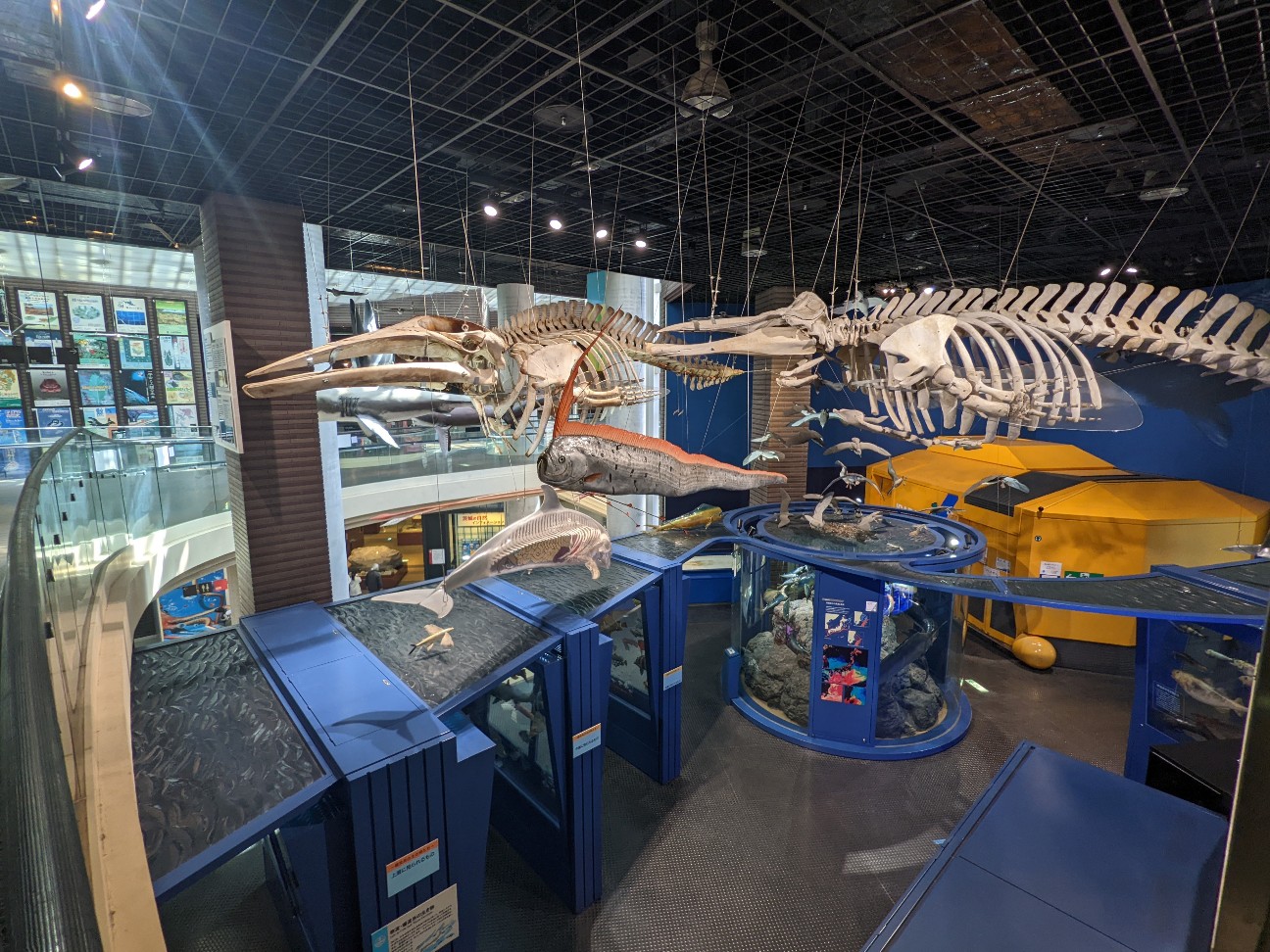 f:id:ranchou:20220629195421j:image