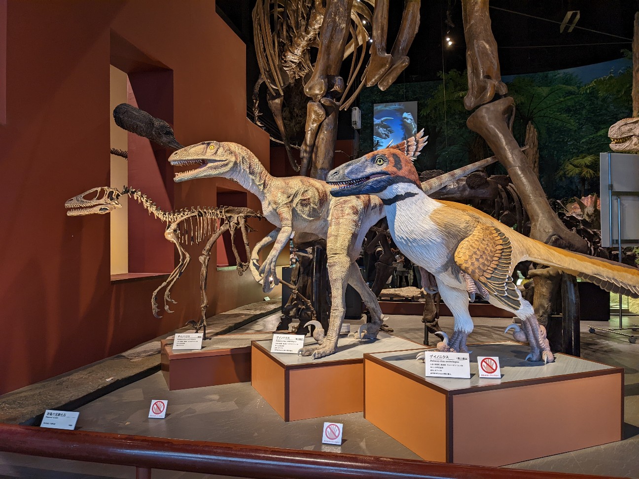 f:id:ranchou:20220629201746j:image