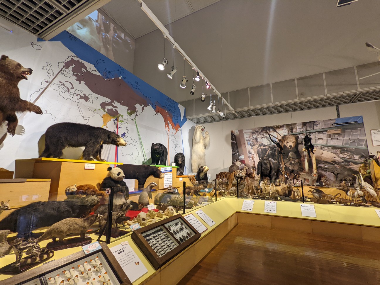 f:id:ranchou:20220629201815j:image