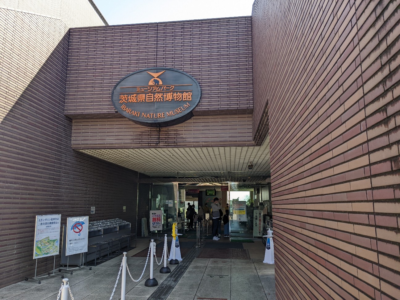 f:id:ranchou:20220629205721j:image