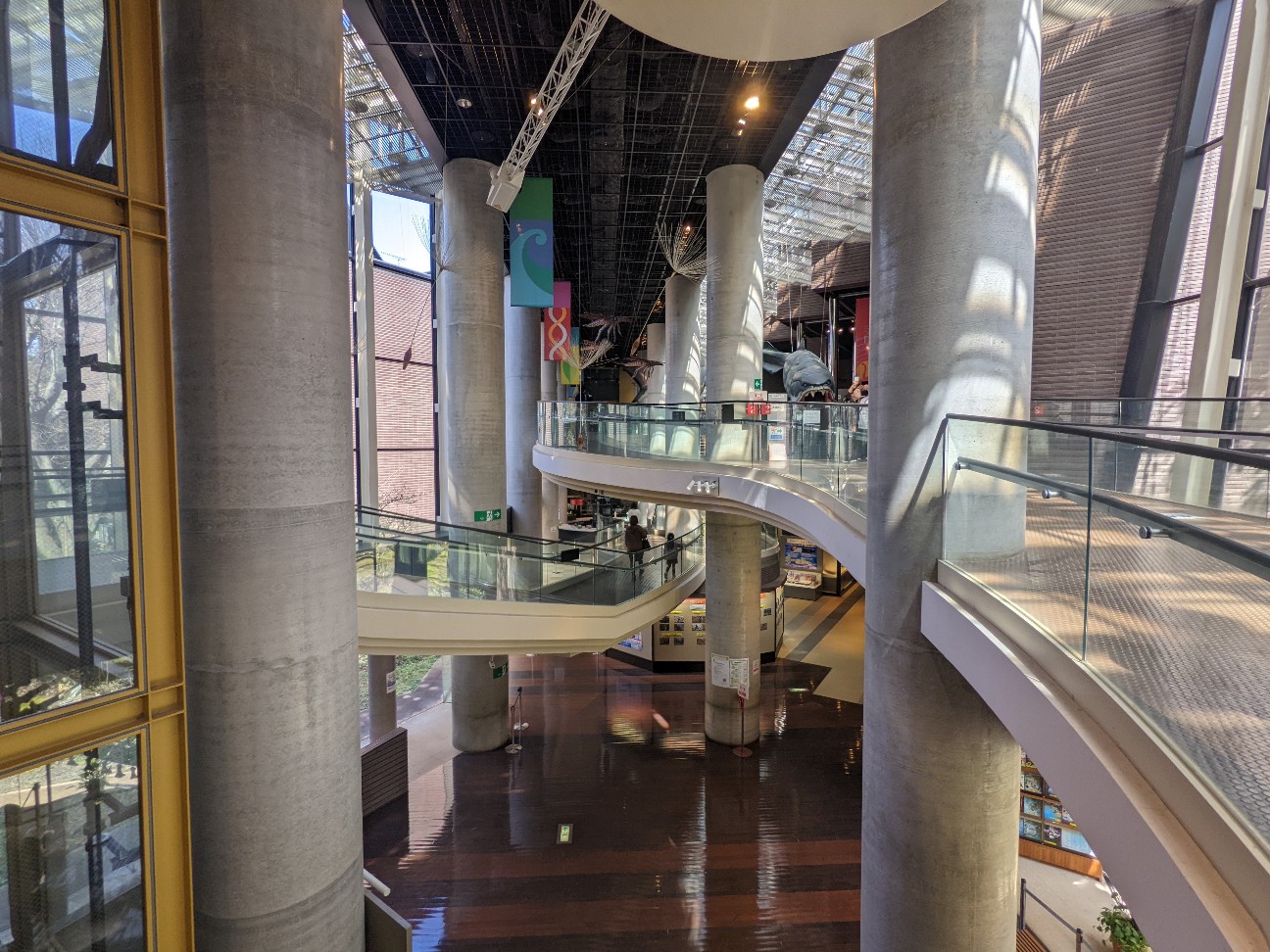 f:id:ranchou:20220629205736j:image