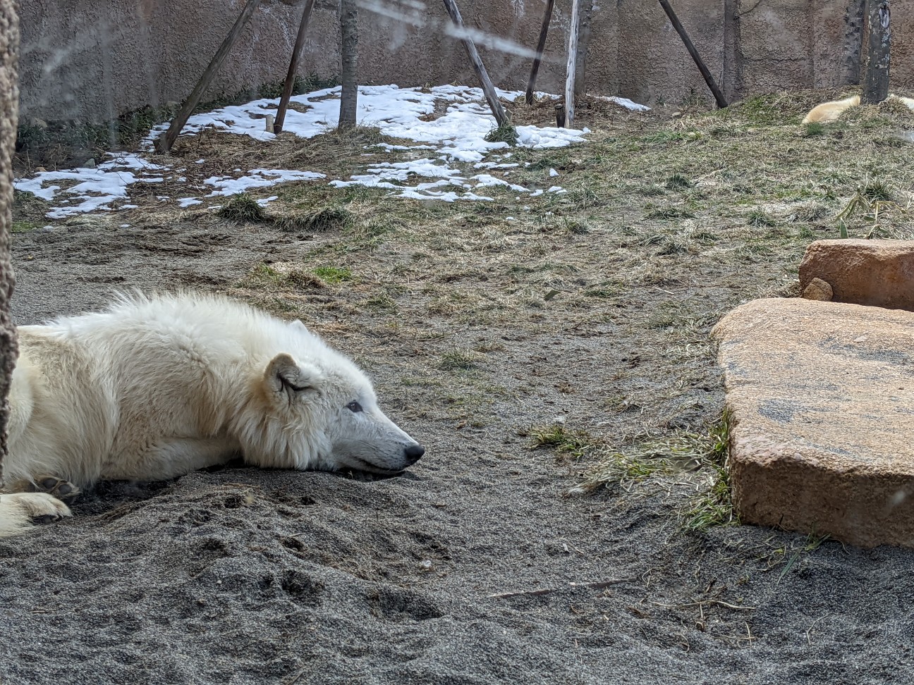 f:id:ranchou:20220704082434j:image