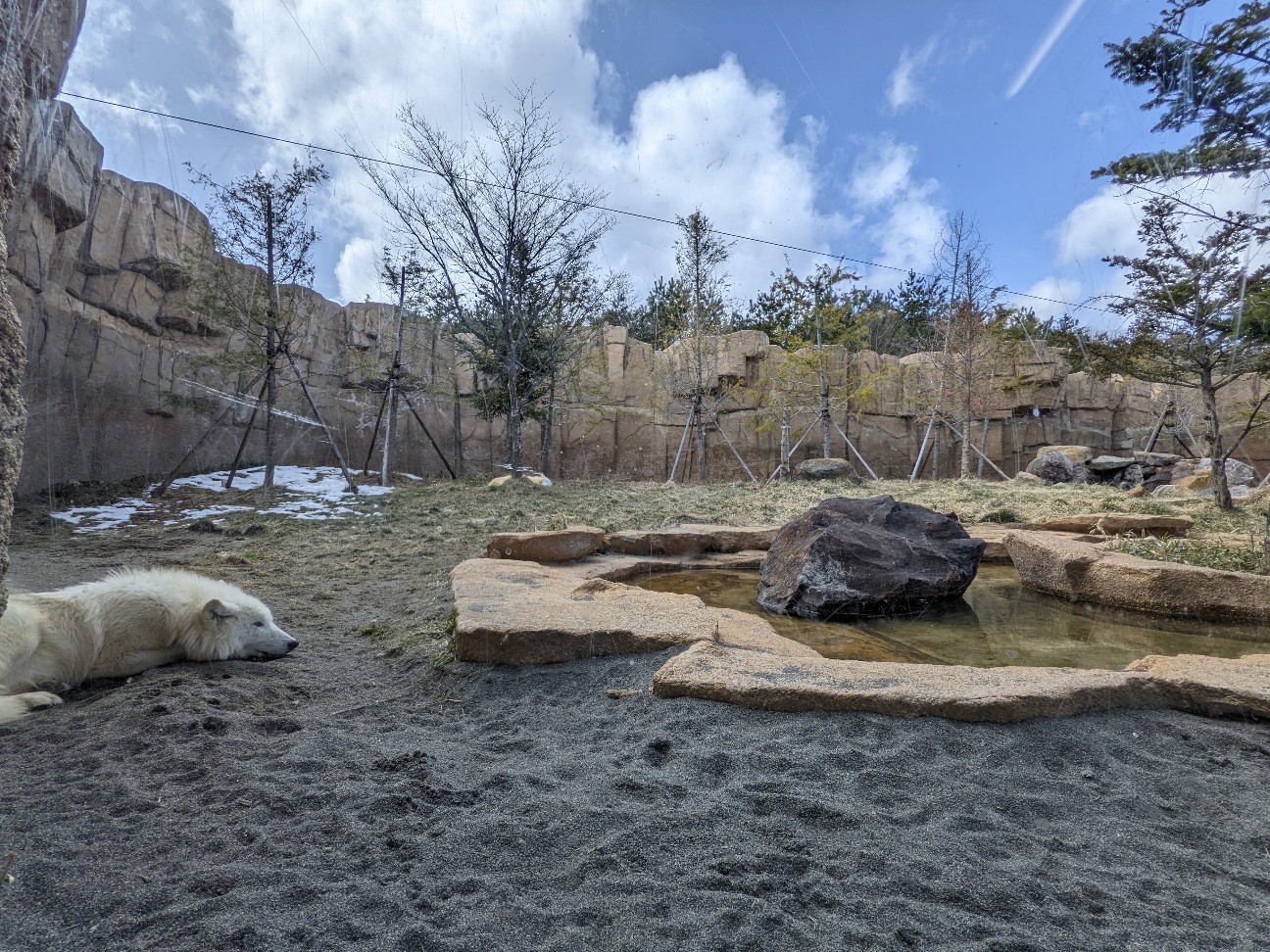 f:id:ranchou:20220704082448j:image