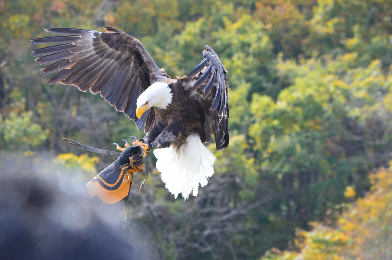 f:id:ranchou:20220704083320j:image