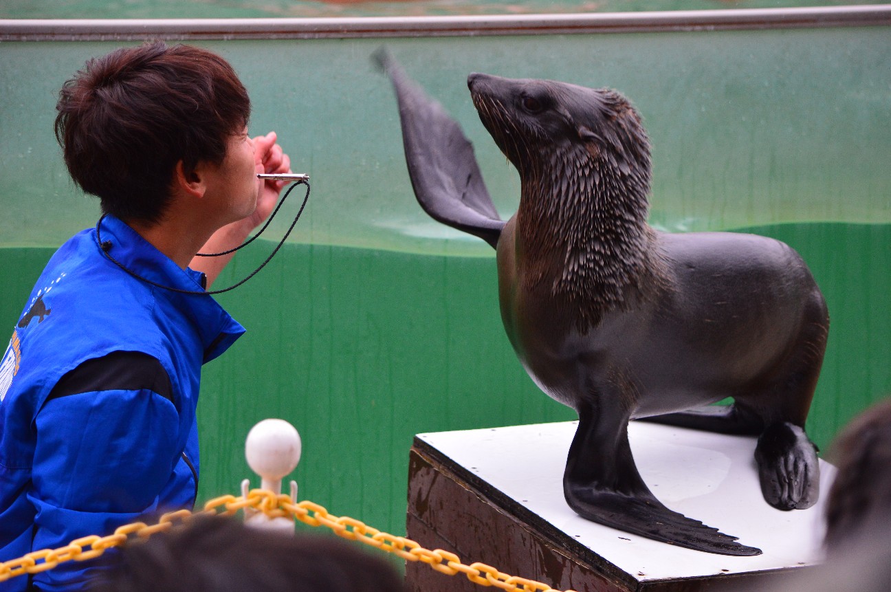 f:id:ranchou:20220704083457j:image