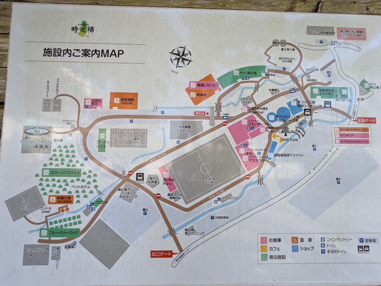 f:id:ranchou:20220704124621j:image