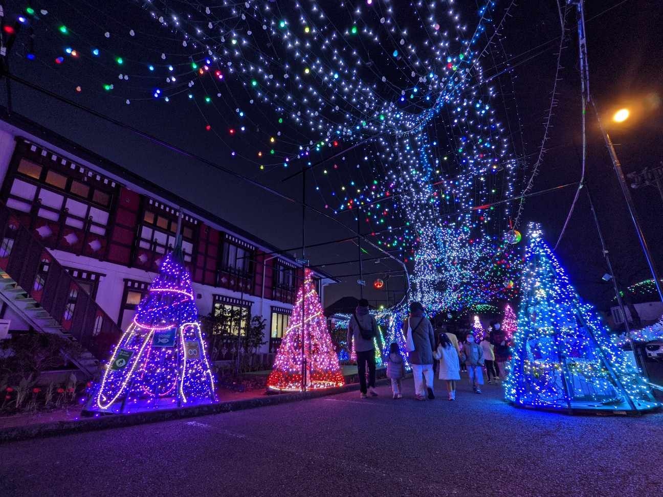 f:id:ranchou:20220704125353j:image