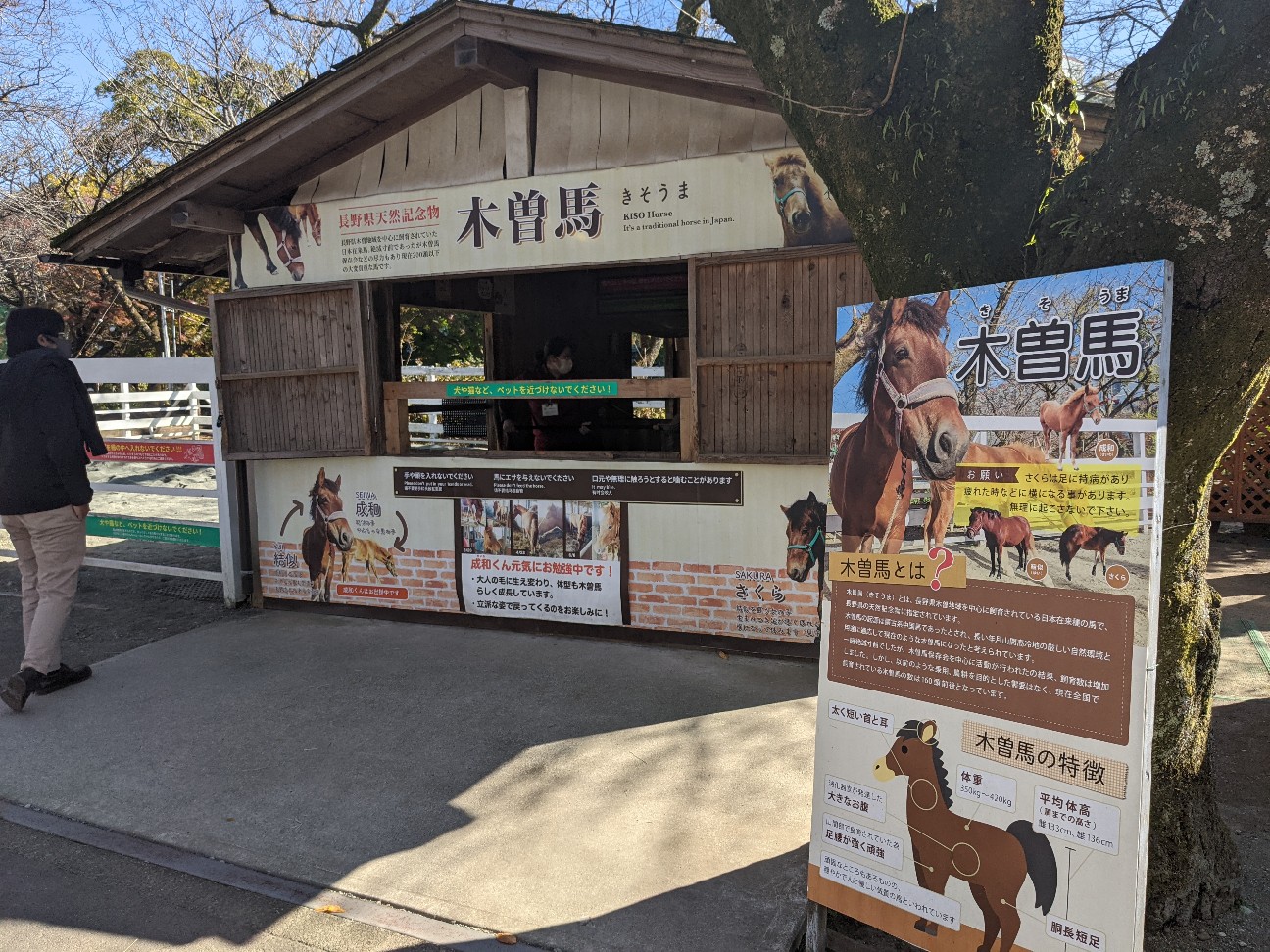 f:id:ranchou:20220706080131j:image